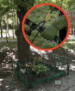 Strzał w kolano. 45-latek siedział na ławce. Nagle poczuł ból
