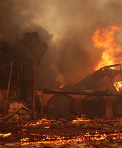 Los Angeles w ogniu. Zmiana klimatu dotyka gwiazdy