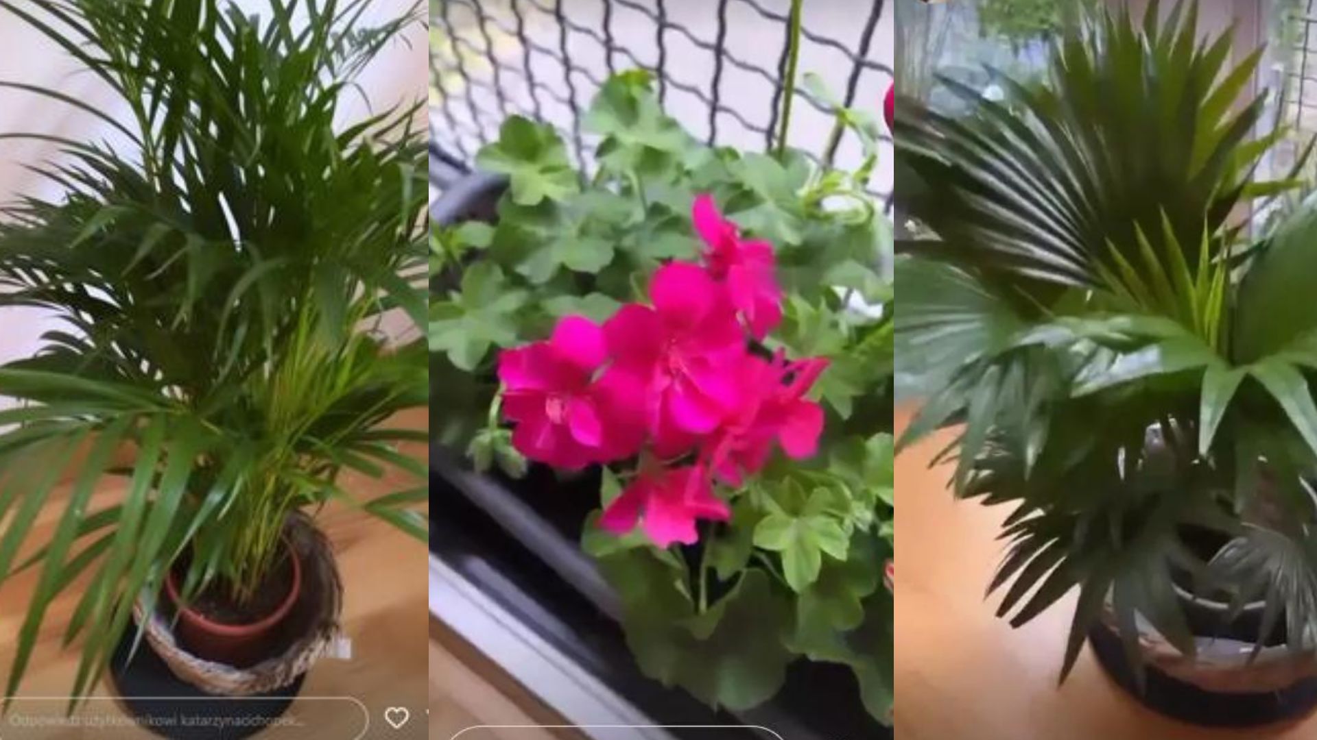 Tak wygląda nowe mieszkanie Katarzyny Cichopek 