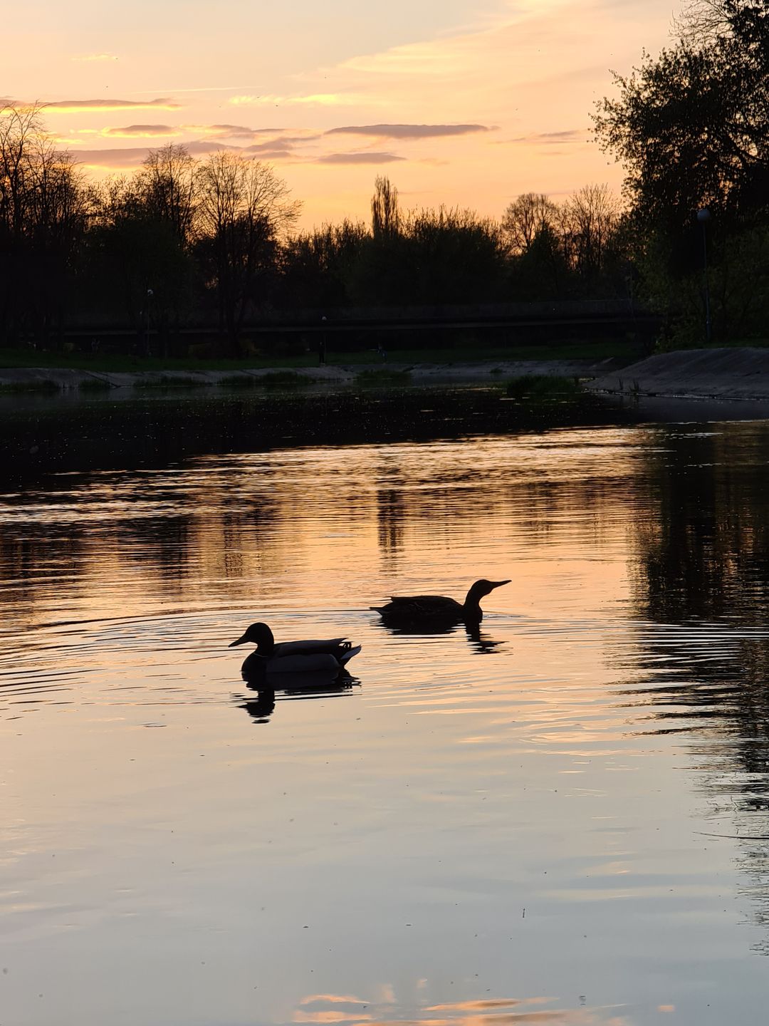 A jednak. Samsung Galaxy S20 Ultra to wciąż mój ulubiony smartfon fotograficzny 8