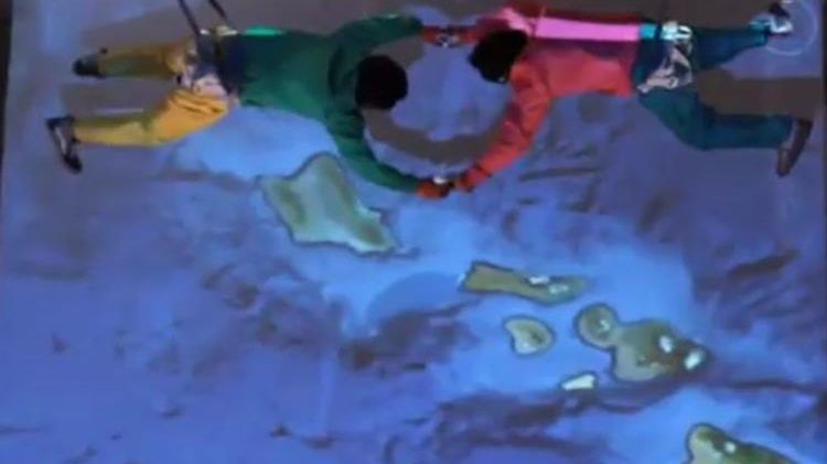 Skydiving pod dachem 1