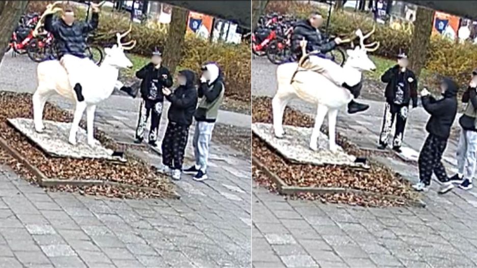 Nagranie z monitoringu. Archiwum prywatne