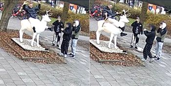 Sopot: Kto zniszczył białego jelenia?Właściciel rzeźby apeluje o pomoc