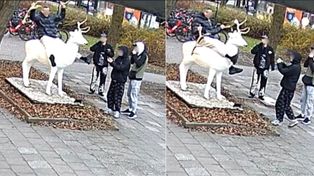 Sopot: Kto zniszczył białego jelenia?Właściciel rzeźby apeluje o pomoc