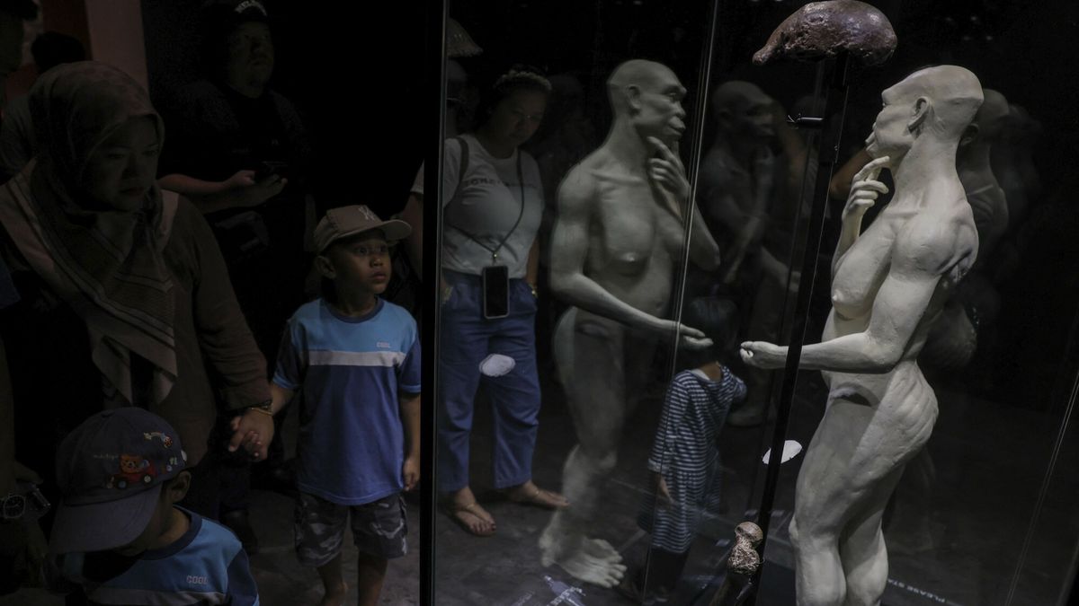Wystawa skamienia?o?ci w Muzeum Narodowym w D?akarcie
Historic fossils of early humans, Homo erectus, known as ''Java Man,'' are displayed at the National Museum in Jakarta, Indonesia, on December 28, 2025, after being repatriated from the Netherlands. Dutch scientist Eugene Dubois discovers the fossils in Trinil, Ngawi Regency, East Java, in the 1890s, and they are estimated to be hundreds of thousands to over a million years old. (Photo by Agoes Rudianto/NurPhoto) (Photo by Agoes Rudianto / NurPhoto via AFP)
AGOES RUDIANTO