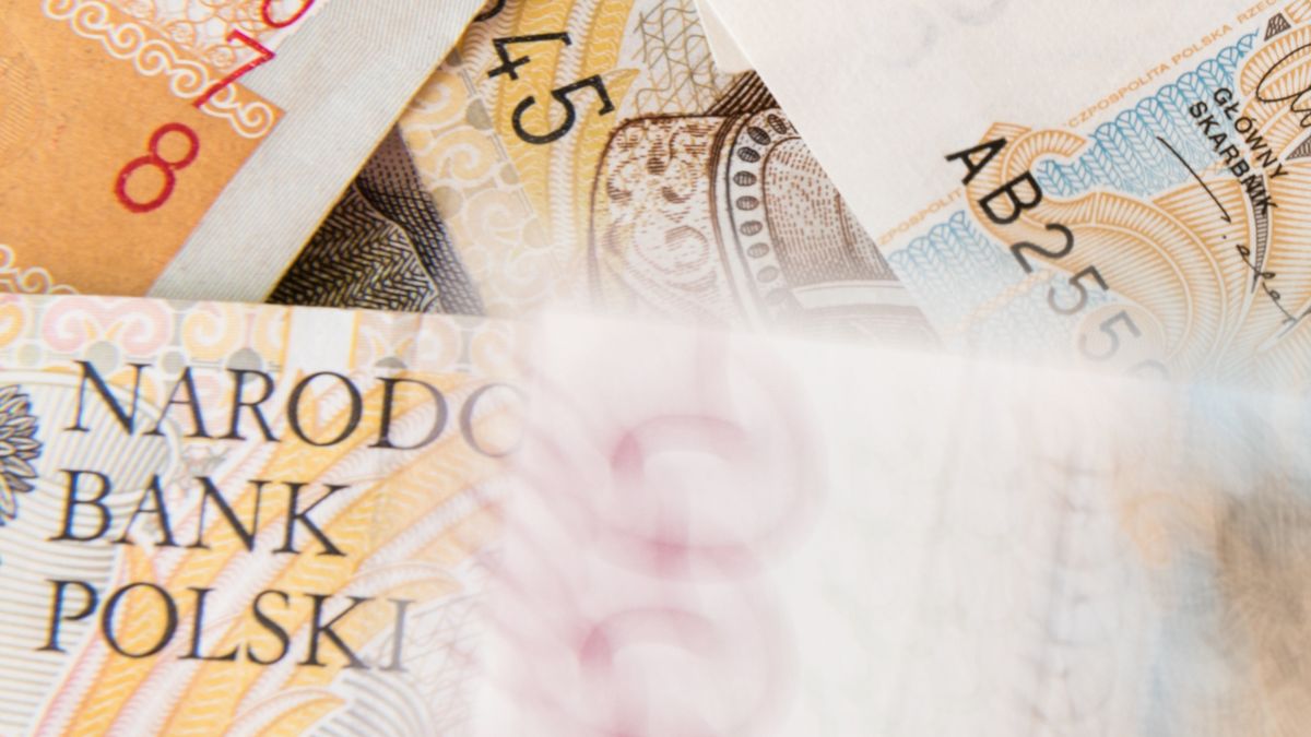 200, 500, zus, accounting, background, bank, banking, banknote, bill, business, buy, cash, currency, debt, earnings, economy, europe, european, exchange, finance, financial, fortune, income, investment, loan, money, paper, pay, payment, pln, poland, polish, retirement, rich, salary, savings, tax, white, zloty, accountant, closeup, system, card, pensioner, help, new, fresh, green, social, security