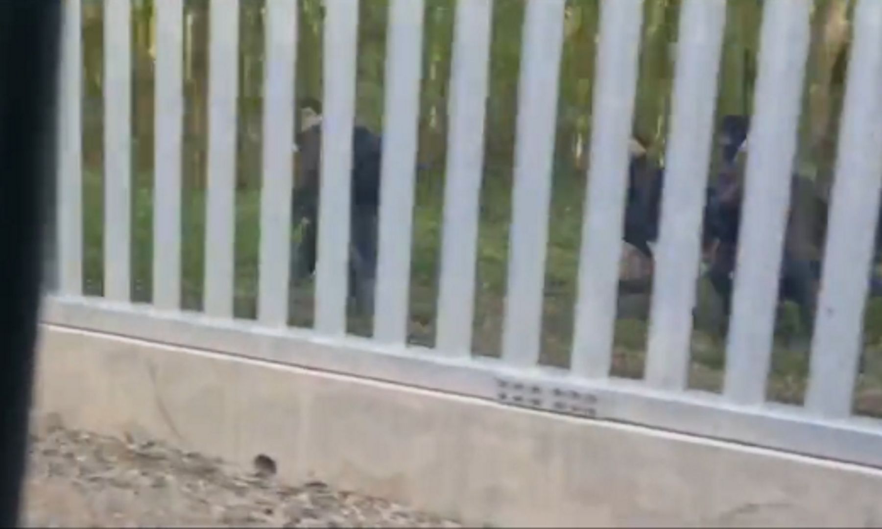 Niepokojące nagranie. Straż graniczna pokazała, co dzieje się w Białorusi