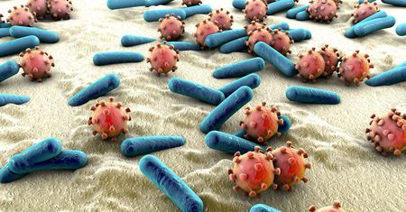 Salmonella w orzechach nerkowca