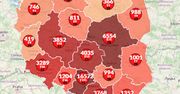 Koronawirus w Polsce. Śmierć kolejnych 10 osób. Oto aktualna mapa zarażeń