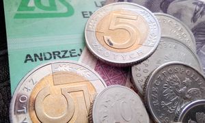 Nadchodzi nowy portal ZUS-u. Zastąpi dotychczasowy system