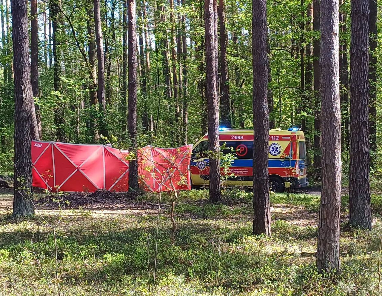 14-latka nie żyje po upadku z konia. Tragedia na Lubelszczyźnie