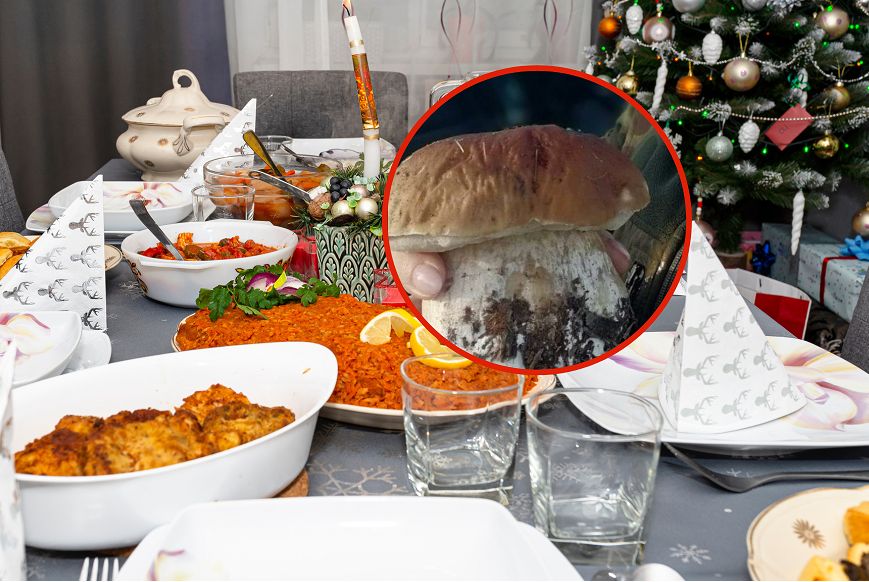 Pokazał, co znalazł w grudniu w lesie. "Nie do wiary, będzie na wigilijny stół"