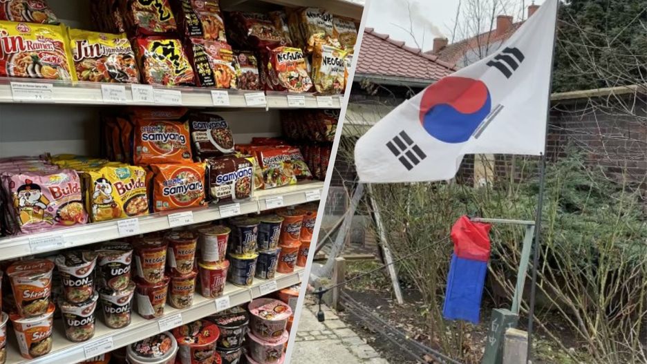 "Mała Korea" obok Wrocławia. Wszystko na wzór Seulu
