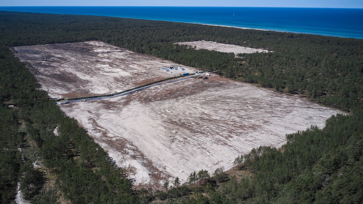 Pod pierwszą elektrownię jądrową wycięto już ok. 40 ha lasów. Wycinki będą jednak znacznie większe