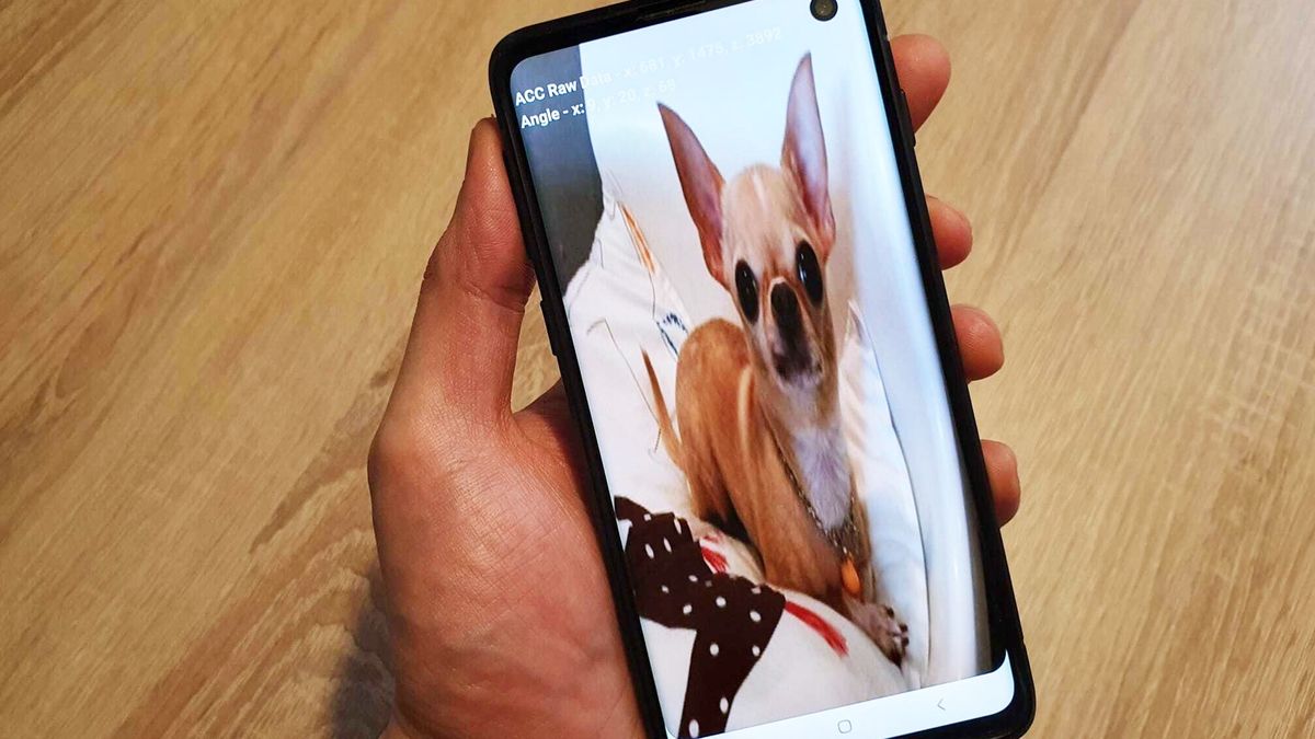 Po wpisaniu kodu, pojawi się uroczy piesek.