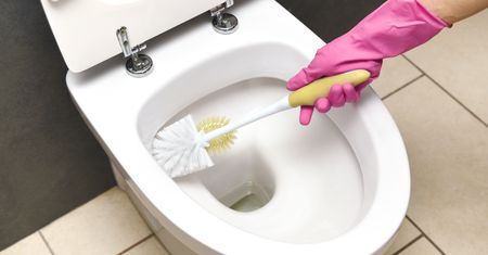 Prosty sposób na wyczyszczenie toalety. Nie potrzebujesz detergentów