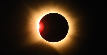 Zaćmienie Słońca wprawiło zwierzęta w dziwny stan. Naukowcy to nagrali