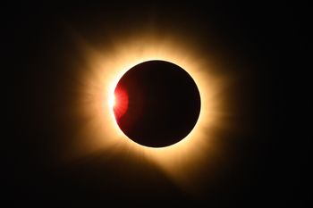 Zaćmienie Słońca wprawiło zwierzęta w dziwny stan. Naukowcy to nagrali