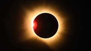 Zaćmienie Słońca wprawiło zwierzęta w dziwny stan. Naukowcy to nagrali