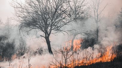 Tysiące osób ewakuowanych. Upały i pożary męczą Stany Zjednoczone