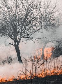 Tysiące osób ewakuowanych. Upały i pożary męczą Stany Zjednoczone