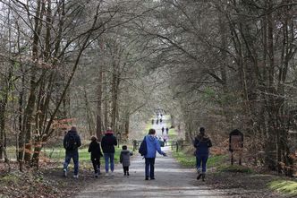 Ograniczenia w przemieszczaniu się. Istnieje furtka, by odwołać się od kary sanepidu