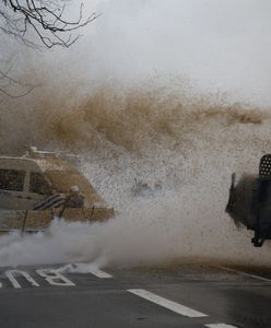 Bruksela sparaliżowana. Policja oblewana gnojówką, rozbite blokady