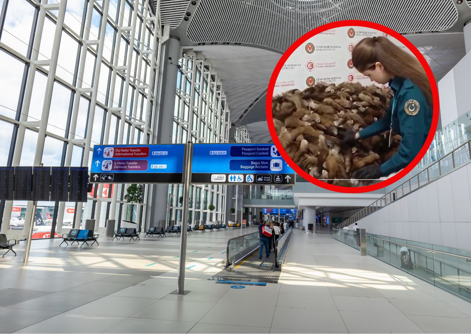 Celnicy osłupieli. Na lotnisku w Turcji otworzyli walizki z Moskwy
