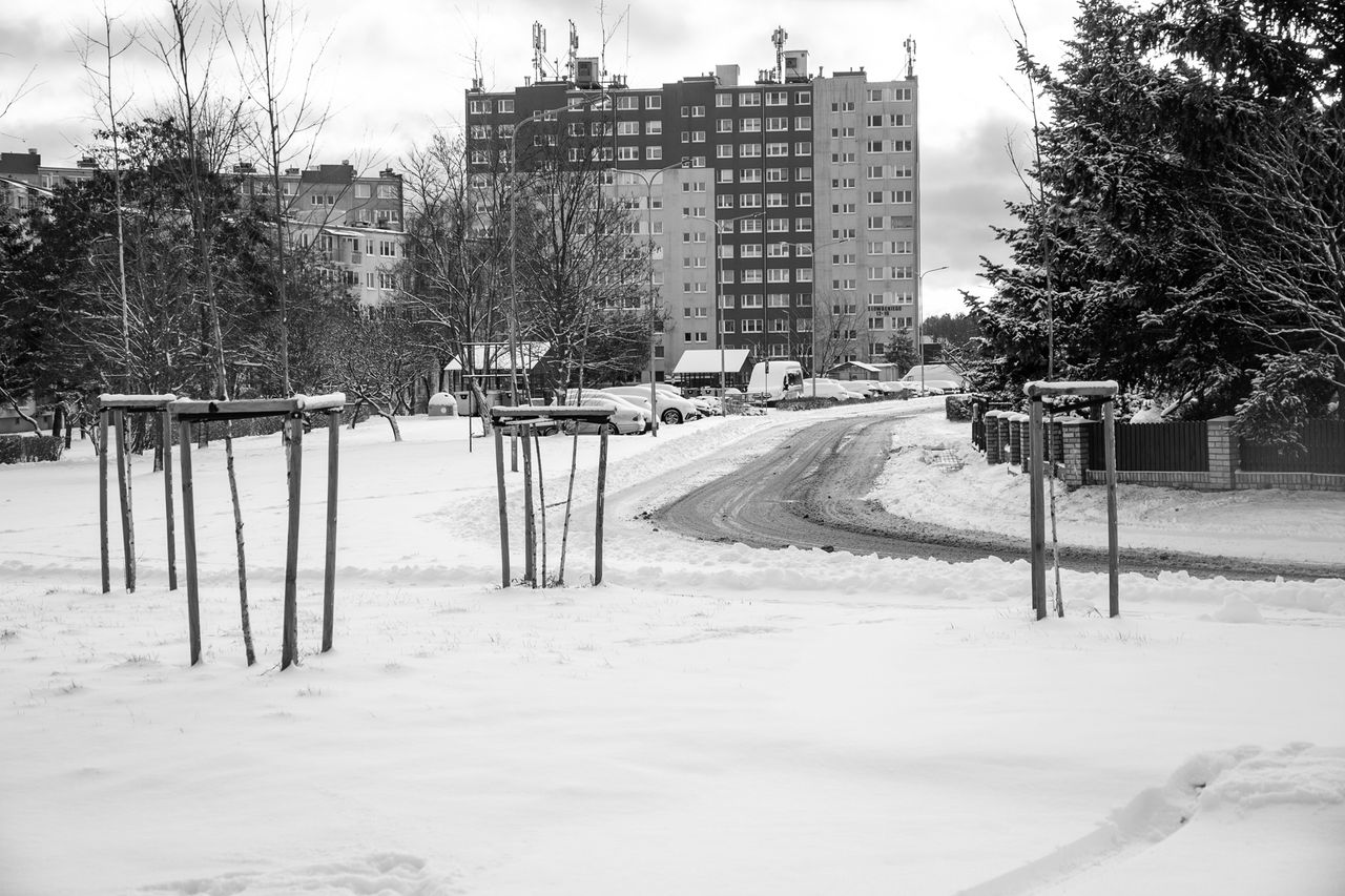 Piła, zima, śnieg
