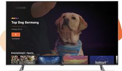 Streaming wyprzedził tradycyjną telewizję w Niemczech. To wyniki badania