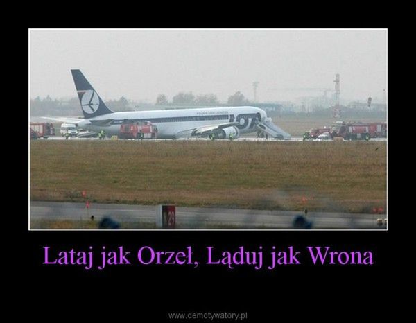 Dreamliner wylądował. Nowy gadżet LOT-u już stał się bohaterem Facebooka 5