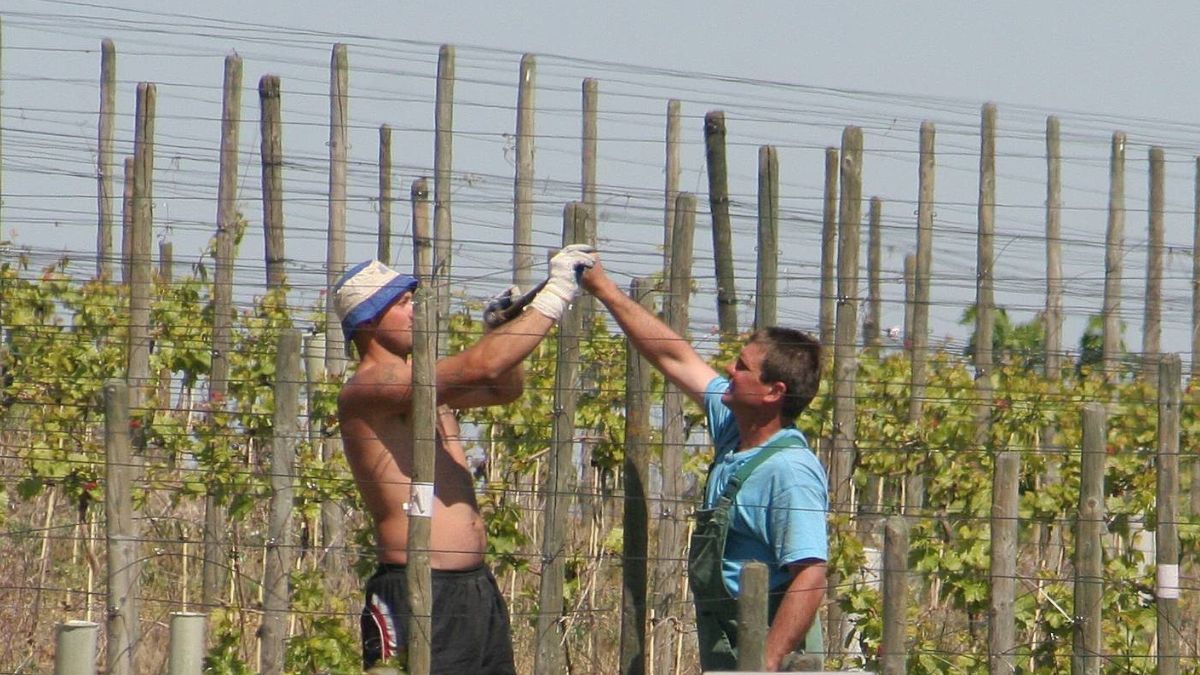 Polacy otrzymają podwyżki za pracę tymczasową w Niemczech