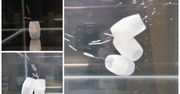 Roboty do zadań specjalnych. Mogą odkryć tajemnice pozaziemskich oceanów