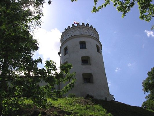 Obraz