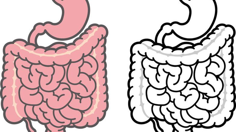 Co znaczy nieszczelne jelito? [123rf]