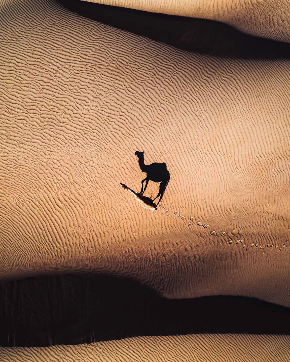 Abstract Aerial Art: “Chcemy pokazać, jak dziwacznie piękny jest świat” 9