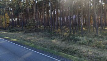 Mógł nawet umrzeć. Ktoś zrobił to w lesie. Wezwali policję