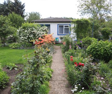 Dlaczego ROD powinny zniknąć? Tłumaczy, czemu chce ich likwidacji