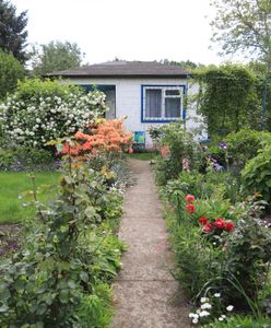 Dlaczego ROD powinny zniknąć? Tłumaczy, czemu chce ich likwidacji