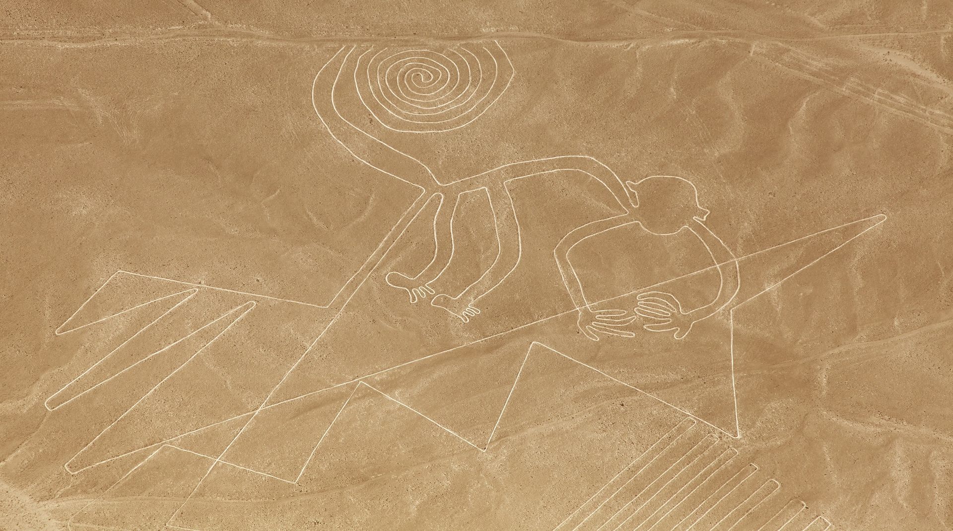 Jeden z rysunków w dolinie Nazca