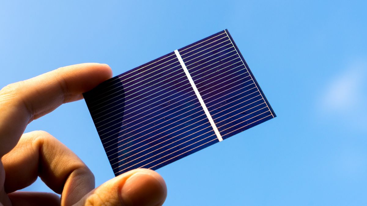 Urządzenie przypomina naturalne procesy zachodzące w roślinach