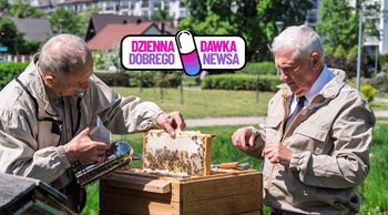 Zaczynali od 5 uli. Pierwsze zbiory miodu z miejskiej pasieki w Białymstoku