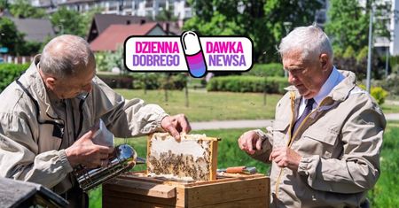 Zaczynali od 5 uli. Pierwsze zbiory miodu z miejskiej pasieki w Białymstoku
