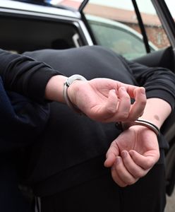 Makabryczne odkrycie za lodziarnią. Policja zatrzymała podejrzanego