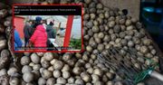 Tajemnica kartoflanego stoiska. Dlaczego wszyscy biegną do tego sprzedawcy?