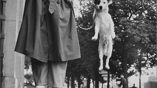 Sylwetka: Elliott Erwitt 1