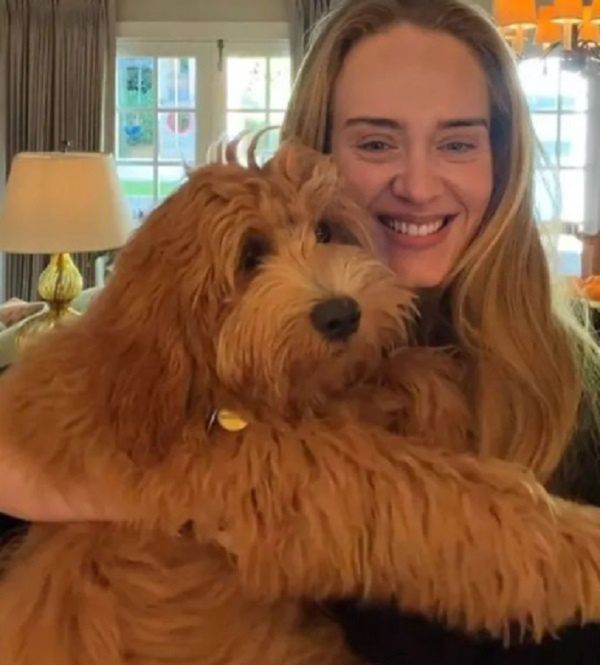 Adele 
