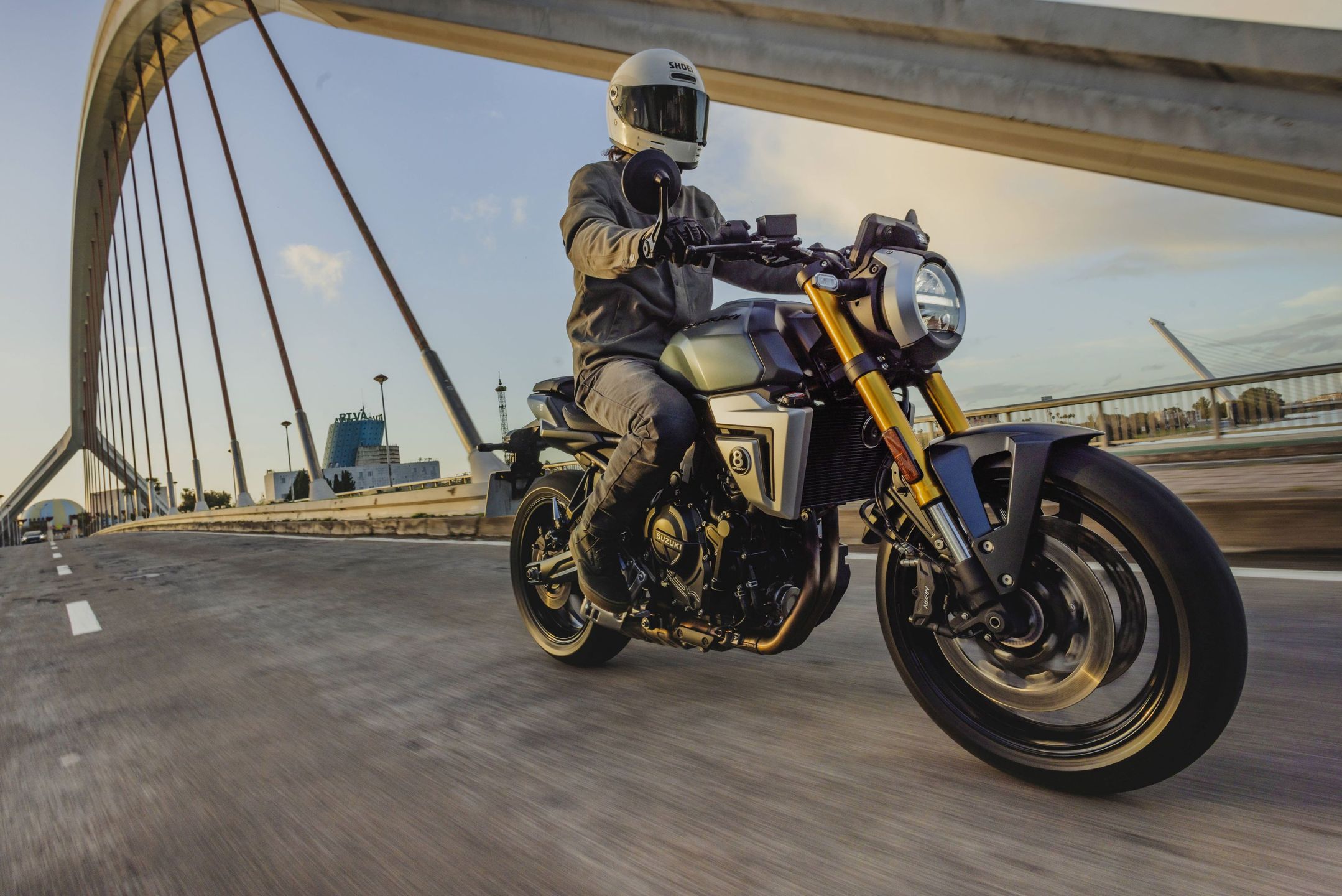 Suzuki GSX-8T i 8TT
