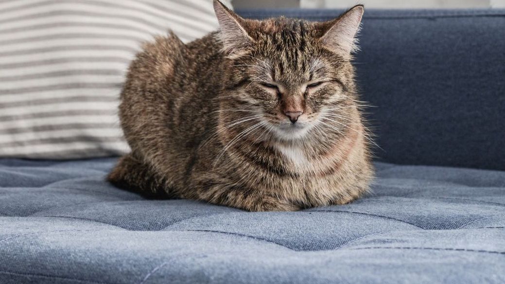 Taka pozycja to nie przypadek