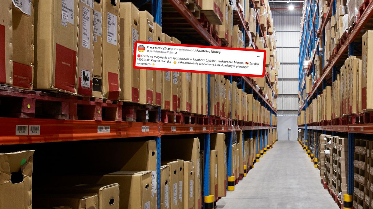 Praca w Niemczech. Tyle proponują Polakom.